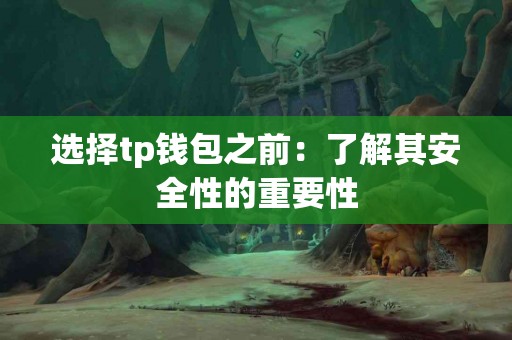选择tp钱包之前：了解其安全性的重要性