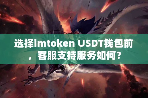 选择imtoken USDT钱包前，客服支持服务如何？