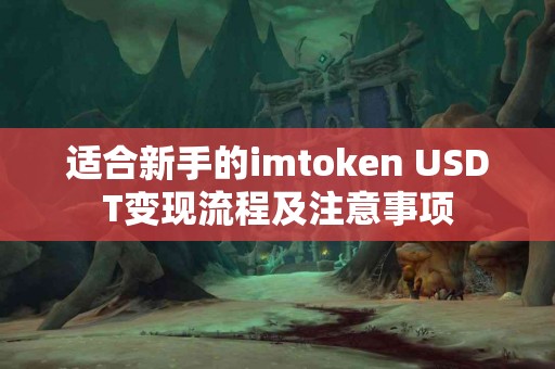 适合新手的imtoken USDT变现流程及注意事项