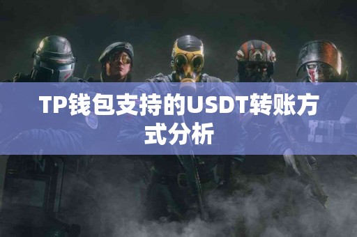 TP钱包支持的USDT转账方式分析 TP钱包支持的USDT转账方式分析