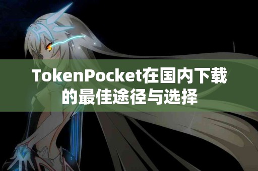 TokenPocket在国内下载的最佳途径与选择