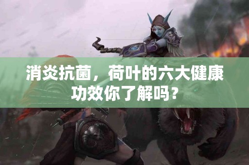 消炎抗菌，荷叶的六大健康功效你了解吗？