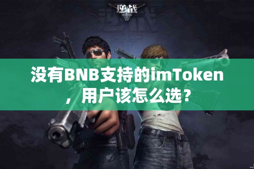 没有BNB支持的imToken，用户该怎么选？