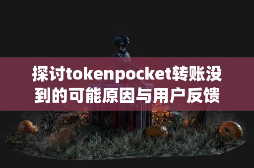 探讨tokenpocket转账没到的可能原因与用户反馈