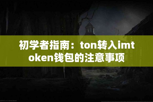 初学者指南：ton转入imtoken钱包的注意事项